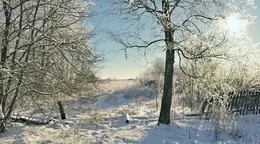 Белым-бело / зима в деревне, снег, утро