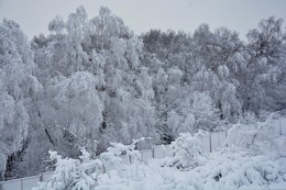 Белым-бело / Природа