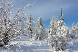 Белым-бело / Якутия, зима