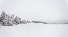 Белым-бело / снег, поле, лес..