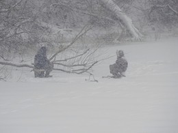 Рыбалка в снегопад / Несмотря на сильный снегопад и ветер, любители зимней рыбалки на Оке терпеливо ждут своего улова и радуются, как дети каждой пойманной рыбке.