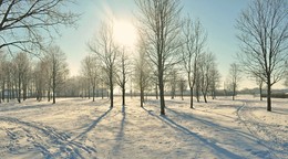 в парке зимой / солнечный день, тени от деревьев, просто парк