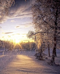 зимний вечер / зима