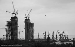 Жирафы / Баку, Азербайджан 2015