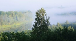 Край любимый ... / &quot;Край любимый! Сердцу снятся
 Скирды солнца в водах лонных.
 Я хотел бы затеряться
 В зеленях твоих стозвонных...&quot;
 С.Есенин