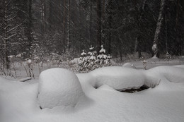 Снегопад в лесу / В предгорьях Чегета