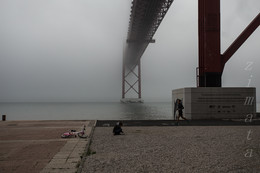 не смотря на туман / туман, мост