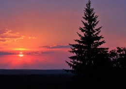 "Я сегодня влюблен в этот вечер..." / "Тянусь к теплу, вдыхаю мягкость хлеба
И с хруптом мысленно кусаю огурцы,
За ровной гладью вздрогнувшее небо
Выводит облако из стойла под уздцы..."
С.Есенин