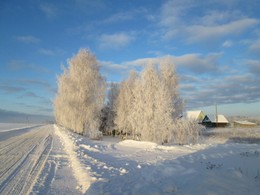 Снежная зима / По дорогам Минской области