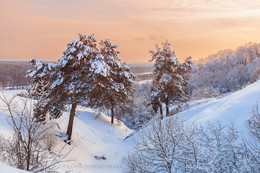 Зимний закат / Фото сделано в поселке Рамонь, Воронежская область.