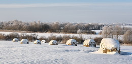 Зимнее поле / Неубранные снопы сена под снегом