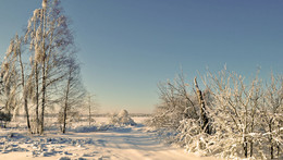 в зимней сказке / снег кругом, легкий морозец, иней на деревьях