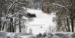 Одинокий рыбак / Верхний Царицынский пруд. Расположен в природно-историческом парке Царицыно на р.Язвенке и её левом притоке Черепишке.
Излюбленное место рыбаков в любое время года .