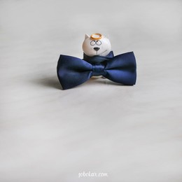 Funny bow tie / ***