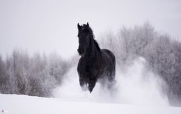 Пятая стихия. / ...