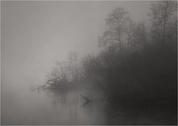 В тумане у реки / -----