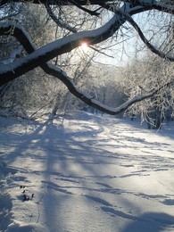 Танец света и теней / обычная русская зима