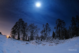 Зимняя ночь / ***