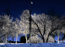морозный вечер на городской окраине / Гомель, сильный мороз, январь 2016, изморозь на деревьях в свете фонаря