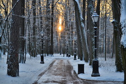 Утро в зимнем парке / Москва ,Царицыно .