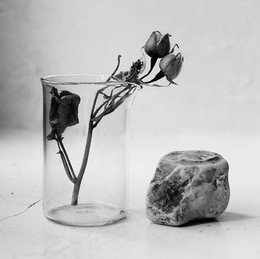 &nbsp; / засохшая роза, камень и химическая склянка