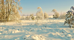 снежное покрывало / снег кругом, иней на деревьях, красиво