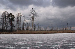 Озеро среди болот / Зимняя оттепель