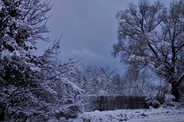 Зимняя зарисовка / ненастно