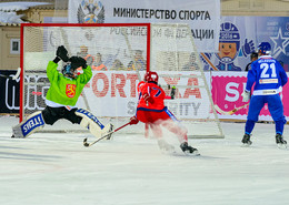Гол.... / Финал Чемпионата мира по хоккею с мячом 2016 год в Ульяновске. Сборные России и Финляндии.