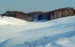 Зимний пейзаж / зима , лес .
