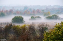 туманным утром октября / раннее утро, красиво стелился туман, в окрестностях Гомеля, фото из прогулок на велосипеде