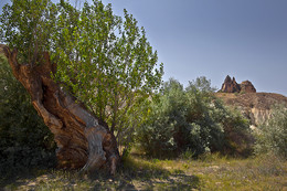 &nbsp; / Kappadokien, Ein Paradies für NATURFOTOGRAFEN (und andere).