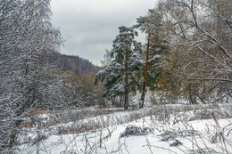 Две сосны / Зимний пейзаж