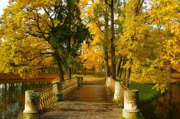 В парке / Осеннее утро в Александровском парке