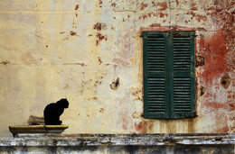 &nbsp; / Diese Katze auf Mallorca hatte es mir angetan. Die RUHE, die diesen Moment ausstrahlte versuchte ich zu fotografieren.