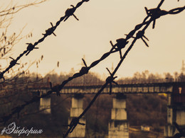 #Взаперти / 14 февраля проведенное на природе. И при виде этой колючки,а на заднем фоне моста,у меня родилась идея для этого фото.