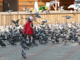Не самый важный момент / в парке проходил праздник для детей. случайный кадр, девочка пытается разогнать голубей , они ещё больше слетаются к ней...
