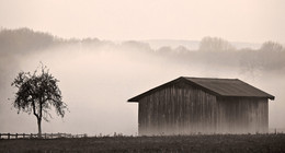&nbsp; / An einem frühen Morgen bei Nebel an der Rauschenburg in Olfen im Münsterland.