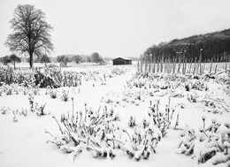 &nbsp; / An einem Wintermorgen an der Lippe in Olfen im Münsterland. Hier bin ich ganz in der Nähe der Rauschenburg.