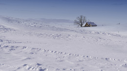 &nbsp; / Früher hatte es in unseren Regionen noch viel mehr Schnee als heute