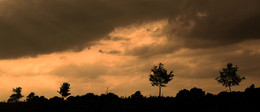 &nbsp; / Abendstimmung im Münsterland. Hier war ein Panorama die &quot;WAHL&quot; für mich.