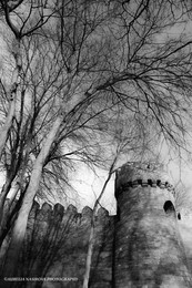 Стены истории / Крепостные стены старого города, Ичеришехер
г. Баку Азербайджан
февраль 2016