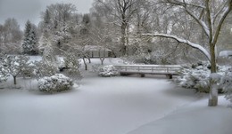 Зима в японском саду / Ботанический сад ,Москва .