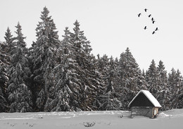 &nbsp; / Winter im Harz. SCHNEE und NATUR PUR. So ist diese Jahreszeit einfach nur schön.