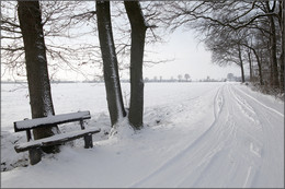 &nbsp; / Rund um meiner Heimatstadt Olfen im Münsterland gibt es tolle Wege zu wandern. Auch im Winter war ich hier unterwegs.