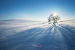 Мороз и солнце день чудесный / Чудесный день среди полей Ярославской области.