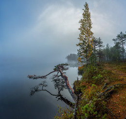 Над водной гладью. / Север Ленинградская область. Осень, 2015.