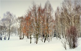 осенние краски зимой / ***