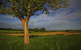 &nbsp; / Ich war wieder einmal unterwegs an der Rauschenburg in Olfen im Münsterland. Die MORGENSTIMMUNG und die STILLE der Landschaft, eine &quot;IDYLLE&quot;.