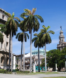 Пальми / Гавана